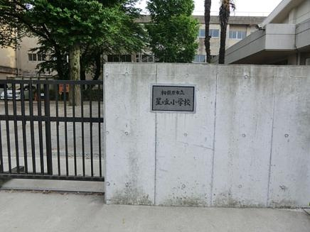 【小学校】星が丘小学校まで494ｍ