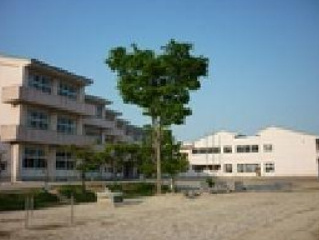 【小学校】中央台南小学校まで747ｍ