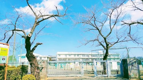 【中学校】さいたま市立　馬宮中学校まで779ｍ