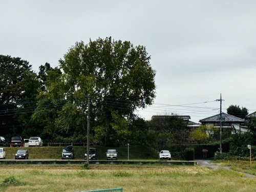 【保育園】さくら保育園まで1283ｍ