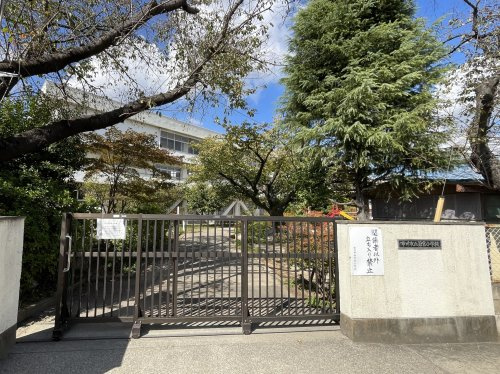 【小学校】市川市立若宮小学校まで730ｍ