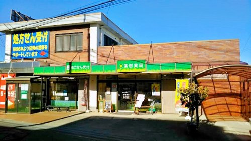 【ドラッグストア】薬樹薬局伊奈まで162ｍ