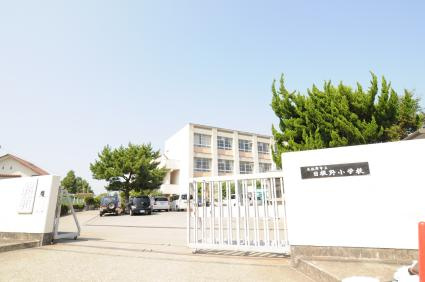 【小学校】泉佐野市立日根野小学校まで1340ｍ