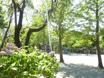 【公園】足立区立稗田公園まで387ｍ