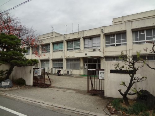 【小学校】堺市立登美丘南小学校まで895ｍ