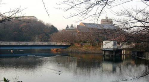 【公園】大蓮公園まで2708ｍ