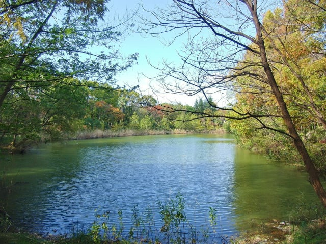 【公園】晴美公園まで916ｍ