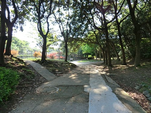 【公園】富岡総合公園まで784ｍ