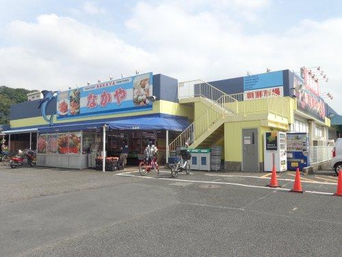 【スーパー】なかや入谷店まで1246ｍ