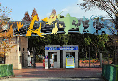 【動物園】千葉市動物公園まで3539ｍ