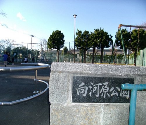 【公園】向河原公園まで408ｍ