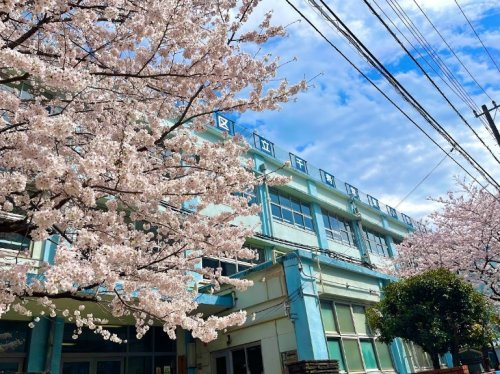 【小学校】足立区立千寿常東小学校まで428ｍ