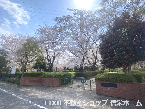 【公園】五反歩公園まで294ｍ