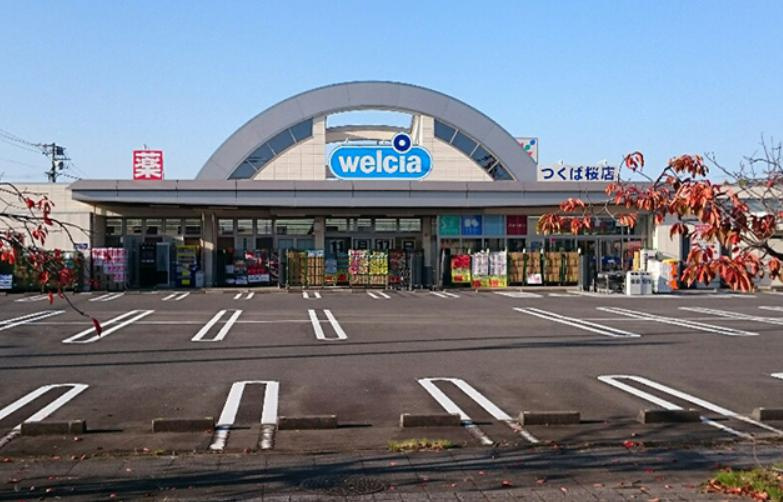 【ドラッグストア】ウエルシア　つくば桜店まで1100ｍ