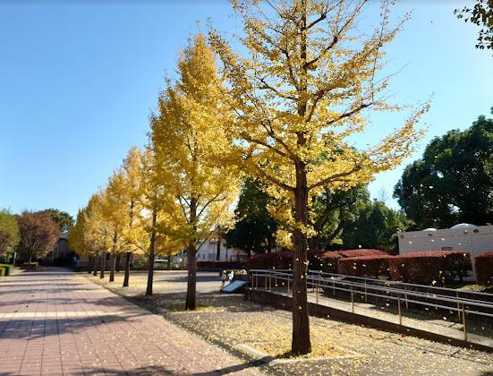 【公園】松ケ丘公園まで350ｍ