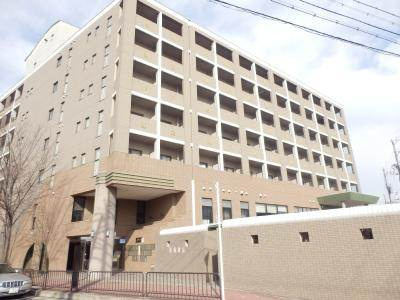 エルカーサーの画像