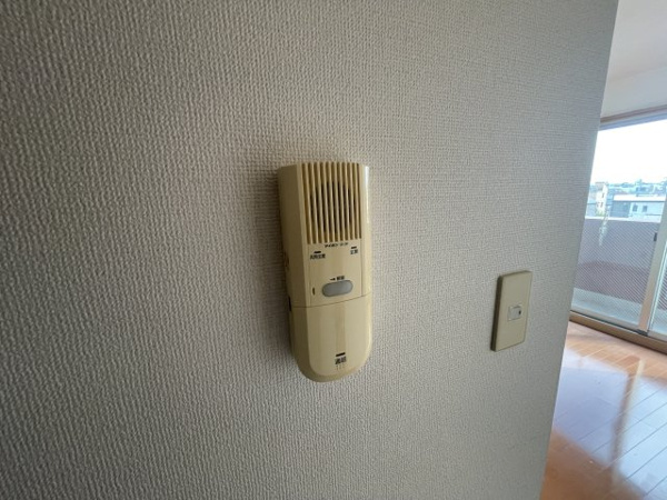 ELLE PARKのその他