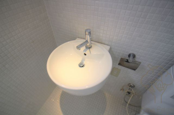 Azuma Apartmentの洗面所