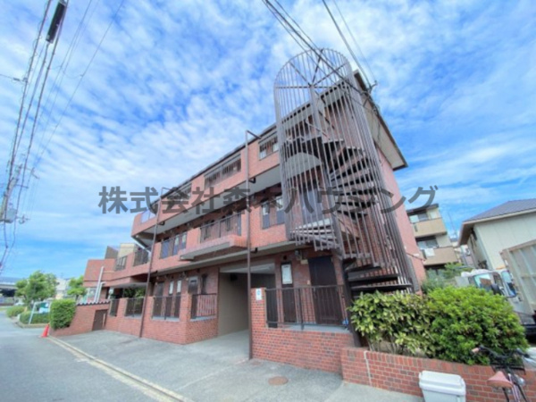 セントポーリアの画像