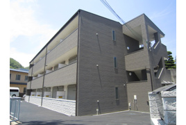 アンプルールフェール樹の外観