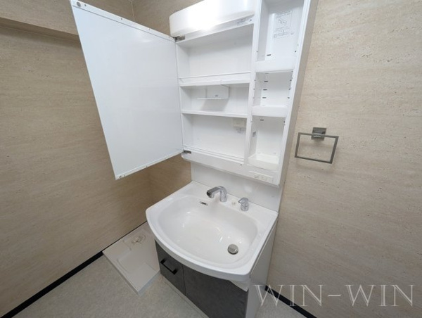 ソサエティ服部の洗面所