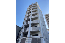 Lutella danbaraの外観