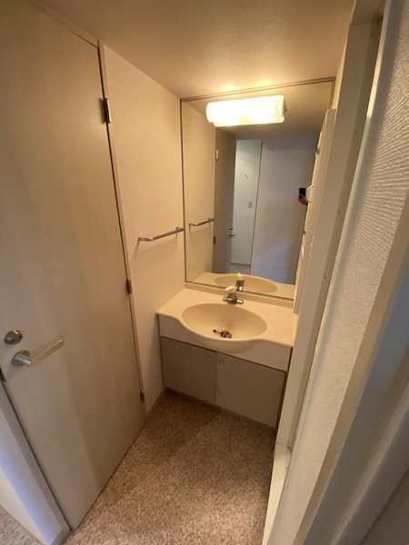 HF駒沢公園レジデンスTOWERの洗面所