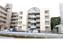 フルータの外観