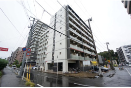 ミリアビタNO.35の外観