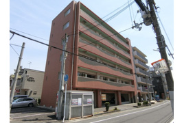 SHRIKE21（シュライク21）の外観