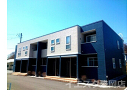 ブーゲンビレアの外観