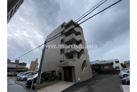 ミアカーサ大橋の外観