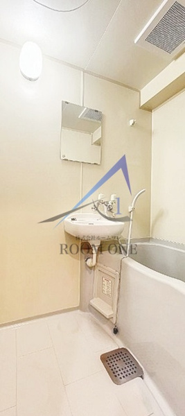 プラスパ鶴見の浴室