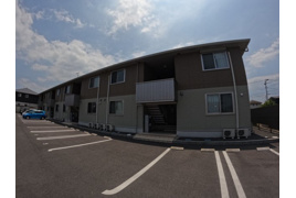 ローマンカモミールの外観