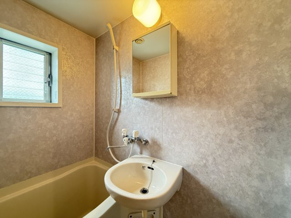 プラーフ湊川の洗面所