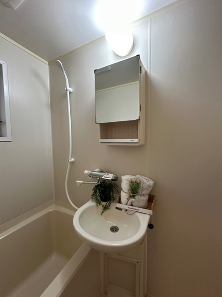 グレース小川の洗面所