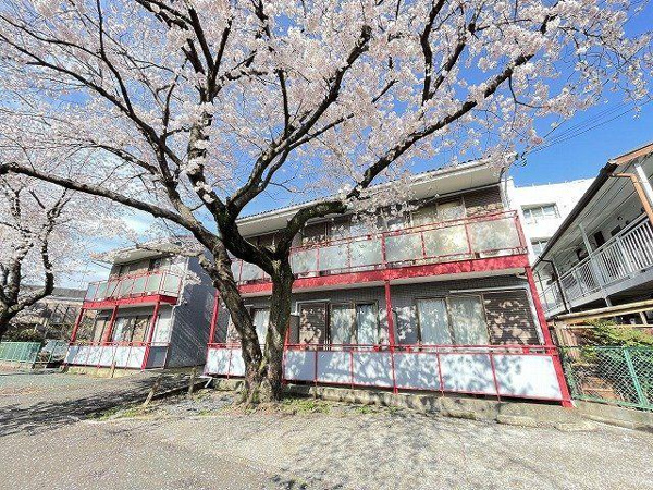 グレース小川のその他