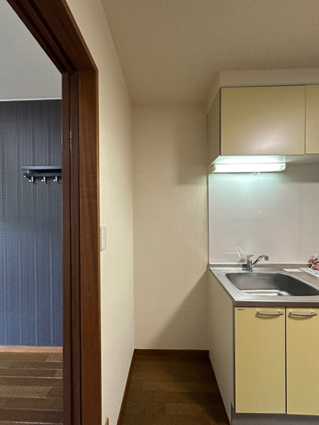 グレース小川のその他