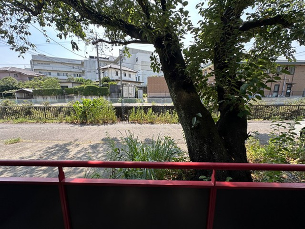 グレース小川のその他