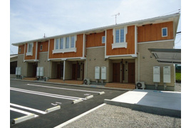 ジプソフィーラ　Ｂの外観