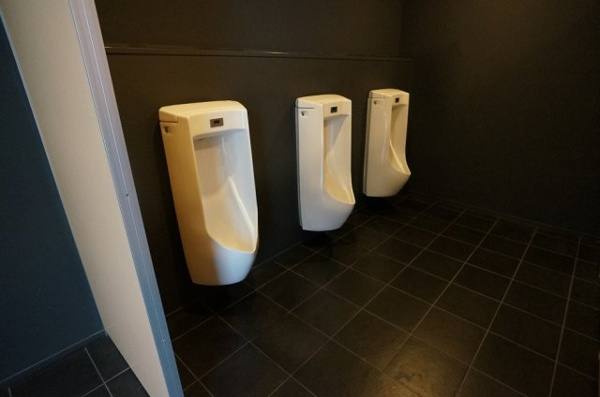 【コズミックスⅡのトイレ】