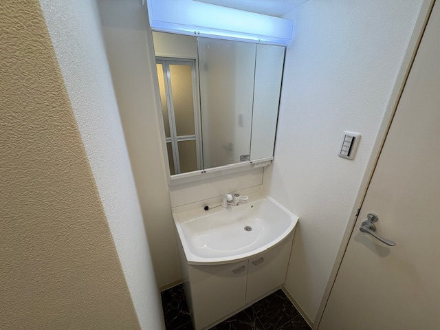 maison PREMIER6の洗面所