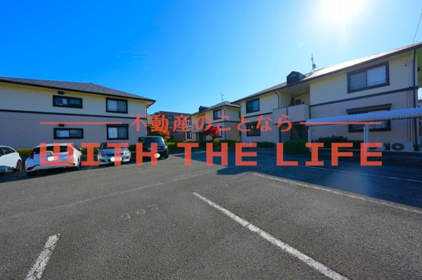 ハイカムール荒木の画像