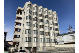 マンション酸漿の外観