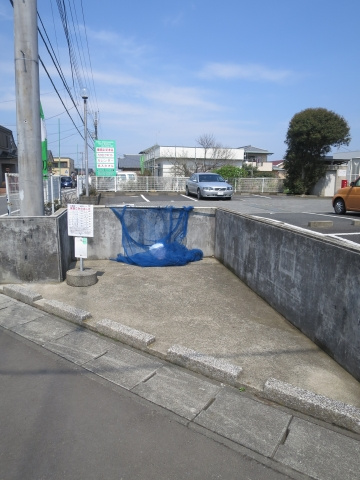 グリーンハイムのその他