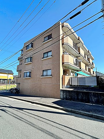 シャンポール葵のイメージ