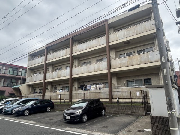 ドゥリーヴピエースの画像