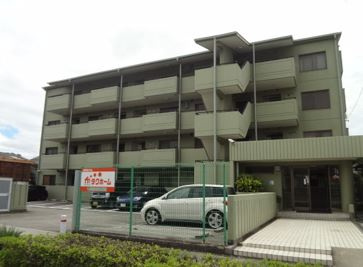 写真 写真