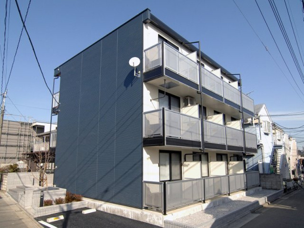 ひめこぶしの画像