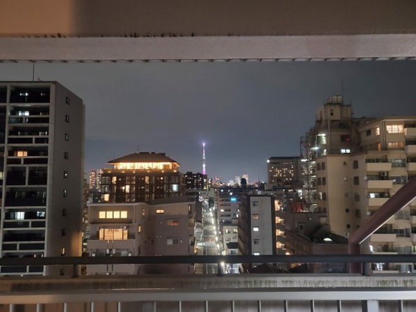 プレジアトウヨウの展望